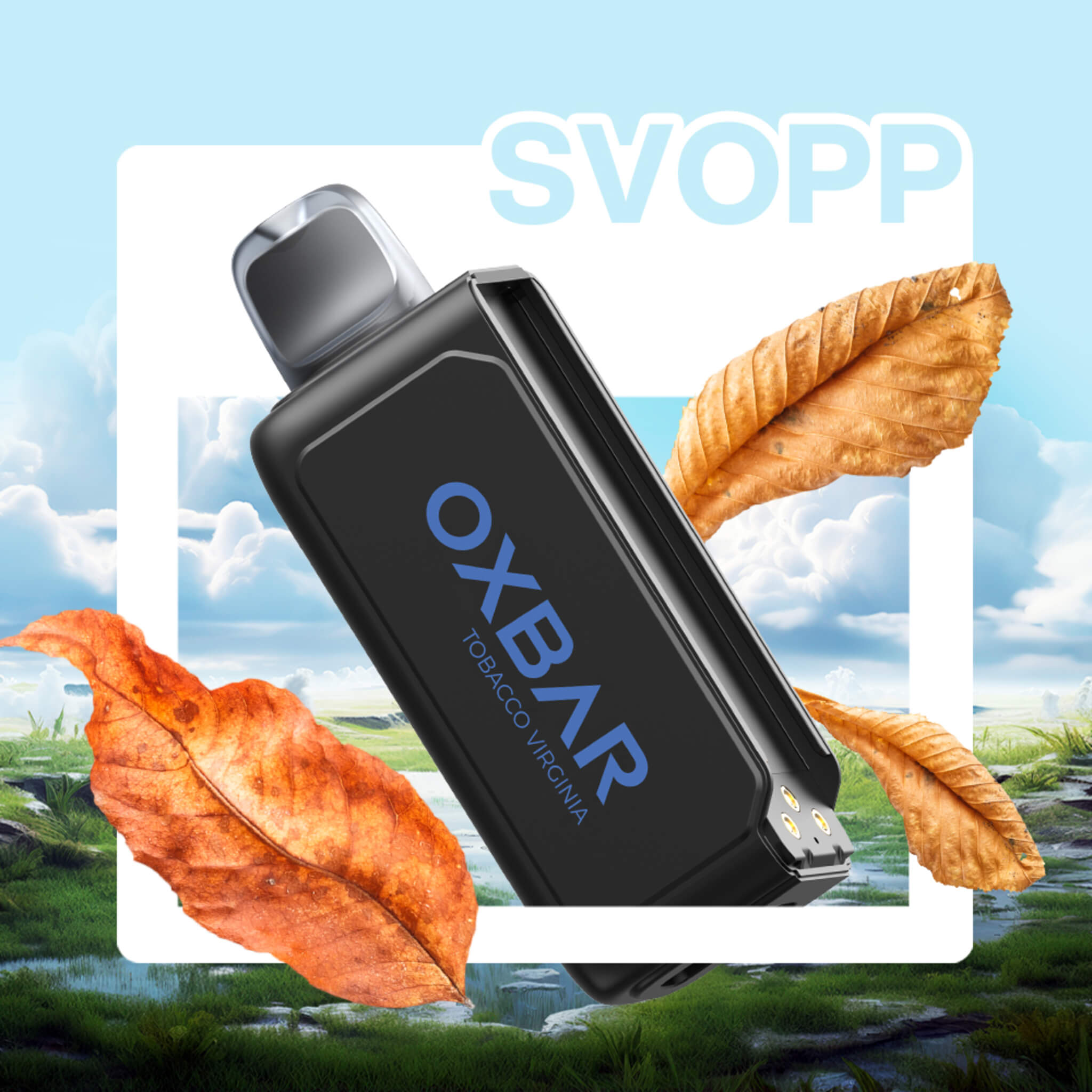 Vaper Desechable Oxbar Svopp 25000 puffs Tobacco Virginia